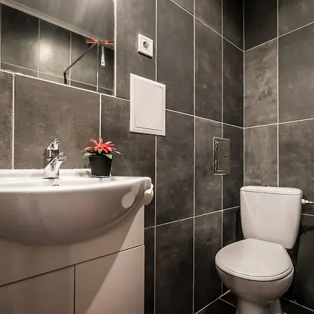 Roeck Premier Downtown